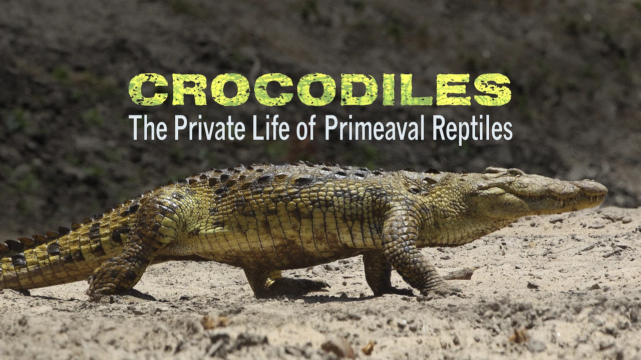 Crocodiles – The Private Life of Primeaval Reptiles