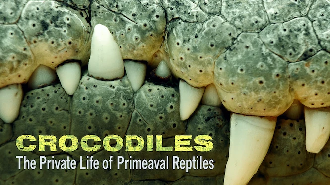 Crocodiles – The Private Life of Primeaval Reptiles
