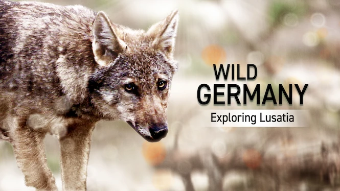 Wild Germany – Exploring Lusatia