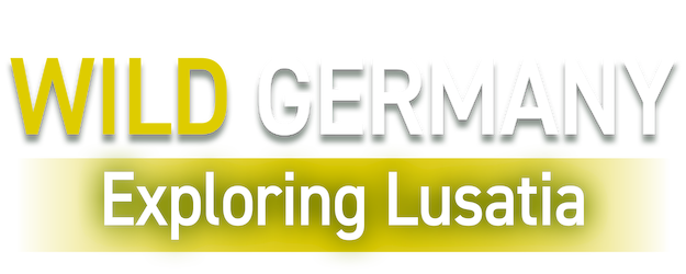 Wild Germany – Exploring Lusatia logo