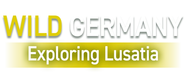 Wild Germany – Exploring Lusatia logo
