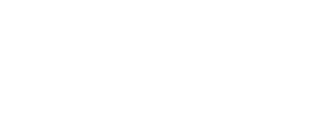 Cheetah Mom logo