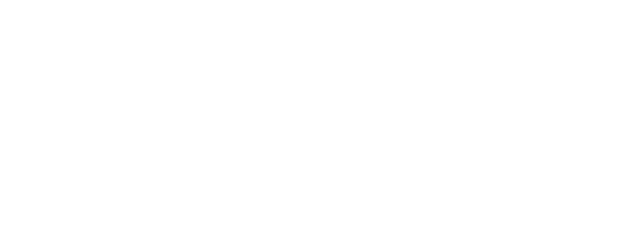 Cheetah Mom logo