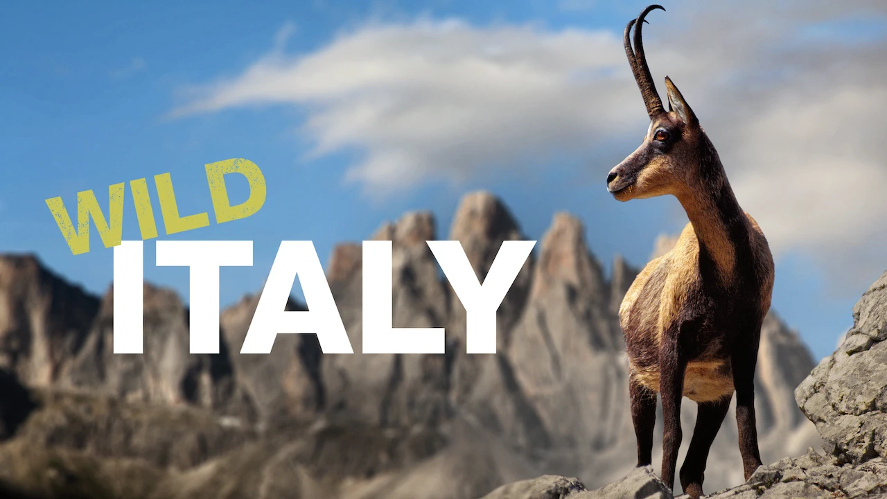 Wild Italy