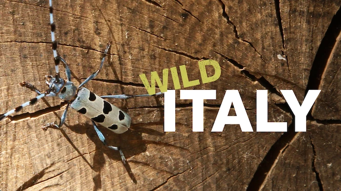 Wild Italy