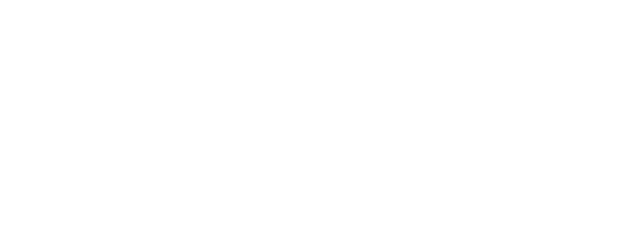 NIZI Village Clinic logo