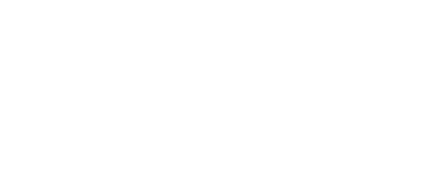 NIZI Village Clinic logo