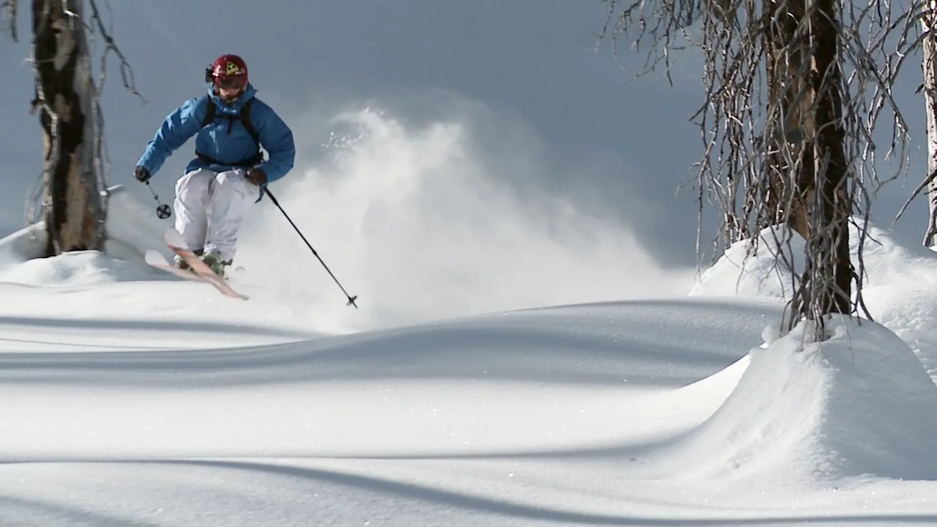 Fischer Freeskiing