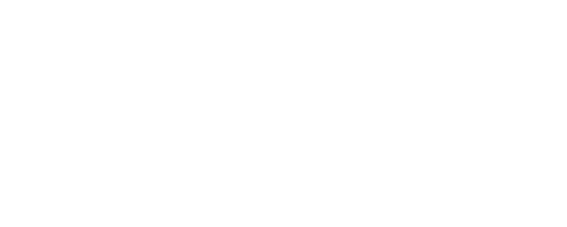 Fischer Freeskiing logo
