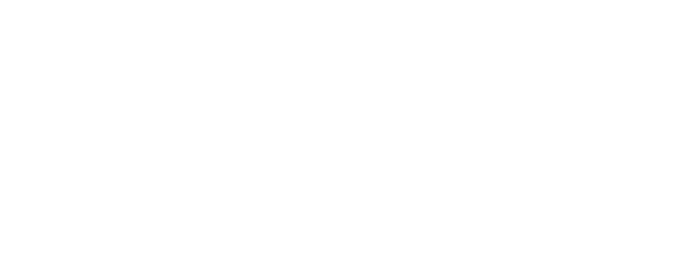 Fischer Freeskiing logo