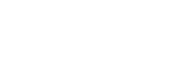 Spirit of the Ball logo