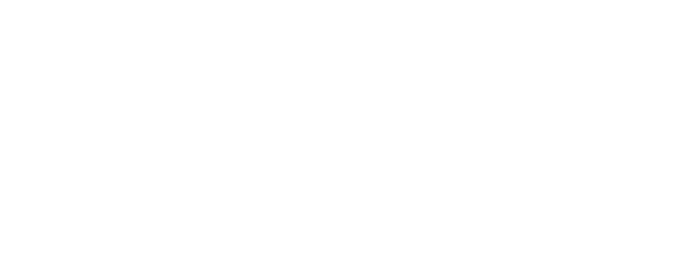 Spirit of the Ball logo