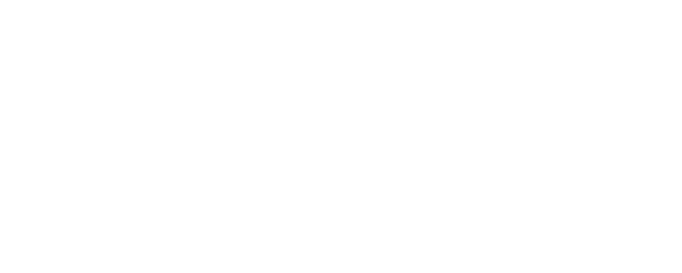 Five Elements of Adventure logo