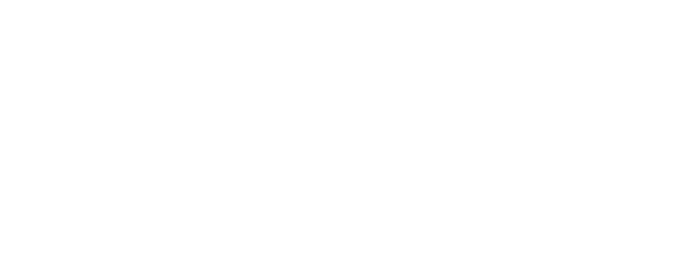 The Funeral Director logo