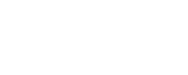 Hidden Identity logo