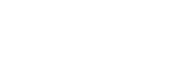 Hidden Identity logo
