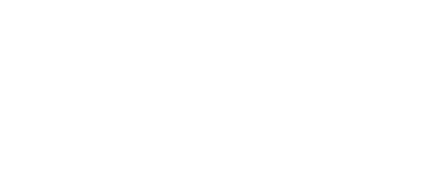 Into the Shadows logo