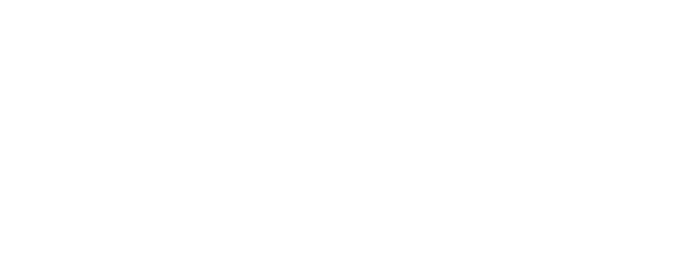 Into the Shadows logo