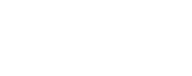 The Playbirds logo