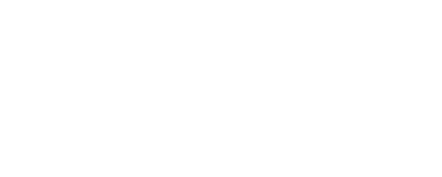 The Playbirds logo