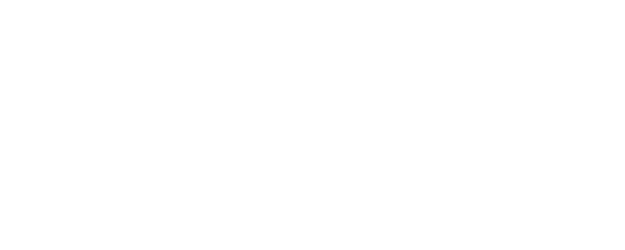 Pirate Hunting logo