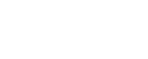 Pirate Hunting logo