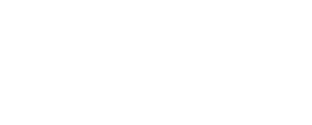 The Limit Of logo