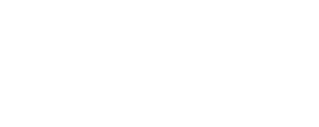 The Limit Of logo