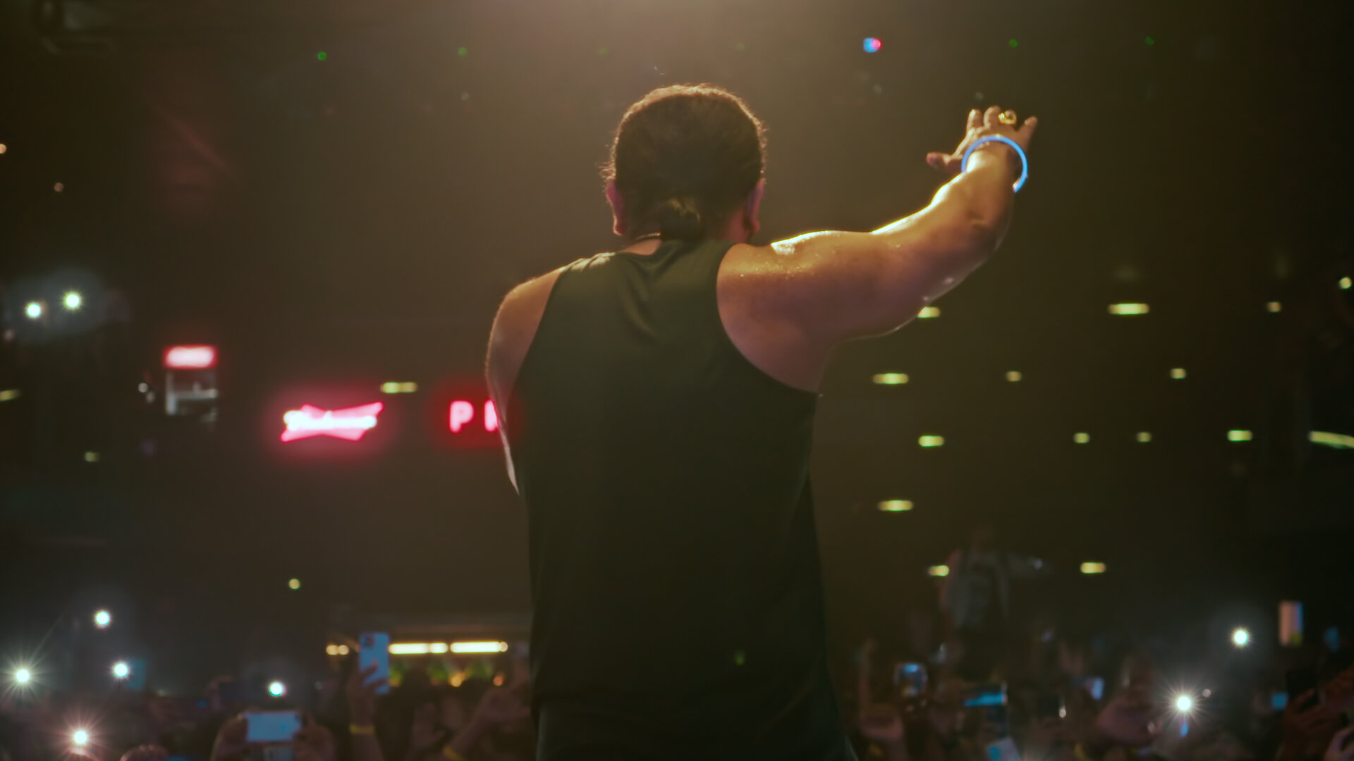 Yo Yo Honey Singh: Famous