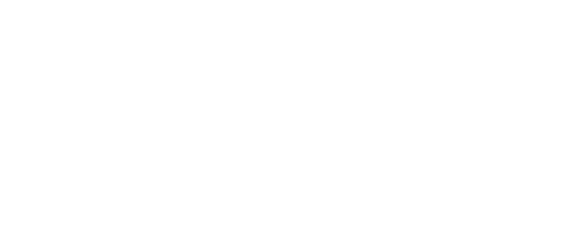 TIM logo