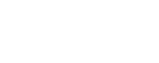 Long March to Freedom logo