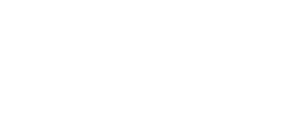 Long March to Freedom logo