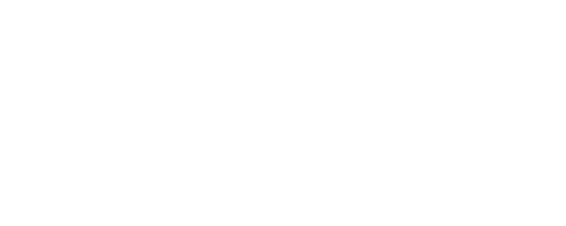 Stolen Vacation logo