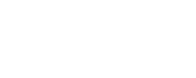 Four in a Van logo