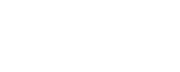 Four in a Van logo