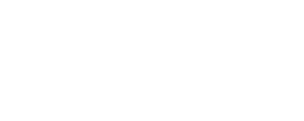 Borderless Love logo