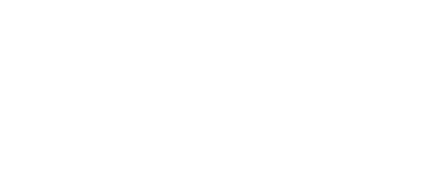 Falchi - Falcon Special Squad logo
