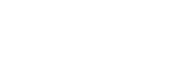 DSP logo