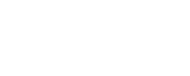 Blitzed! logo