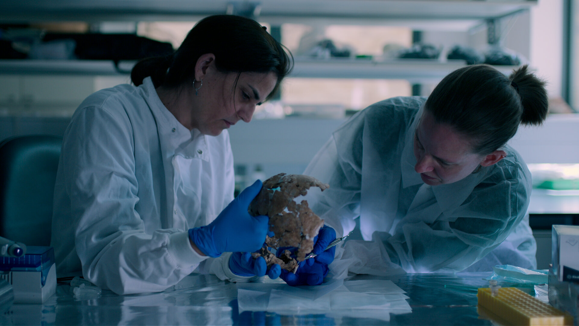 Secrets of the Neanderthals