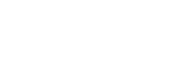 Number 17 logo