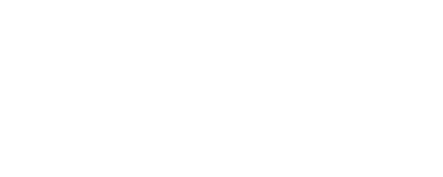 I am Solo logo