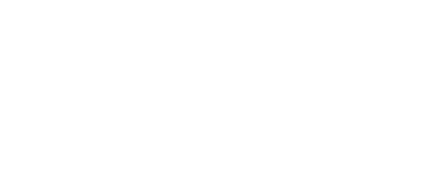 I am Solo logo