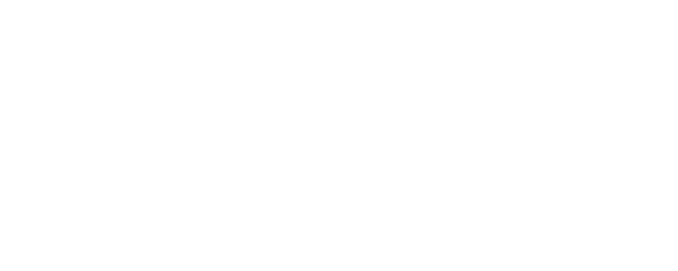 Heart of Stone logo