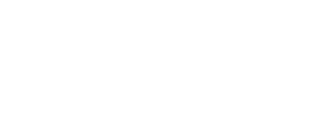 Heart of Stone logo