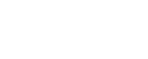 Stiv: No Compromise No Regrets logo