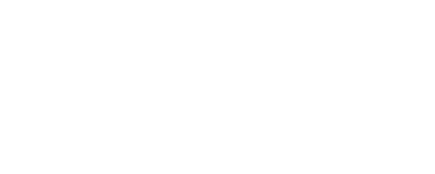 Stiv: No Compromise No Regrets logo