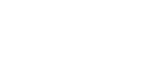 Big North logo