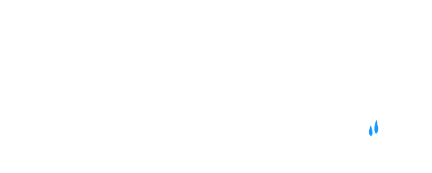 Sonny Boy & Dewdrop Girl logo