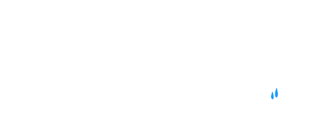 Sonny Boy & Dewdrop Girl logo